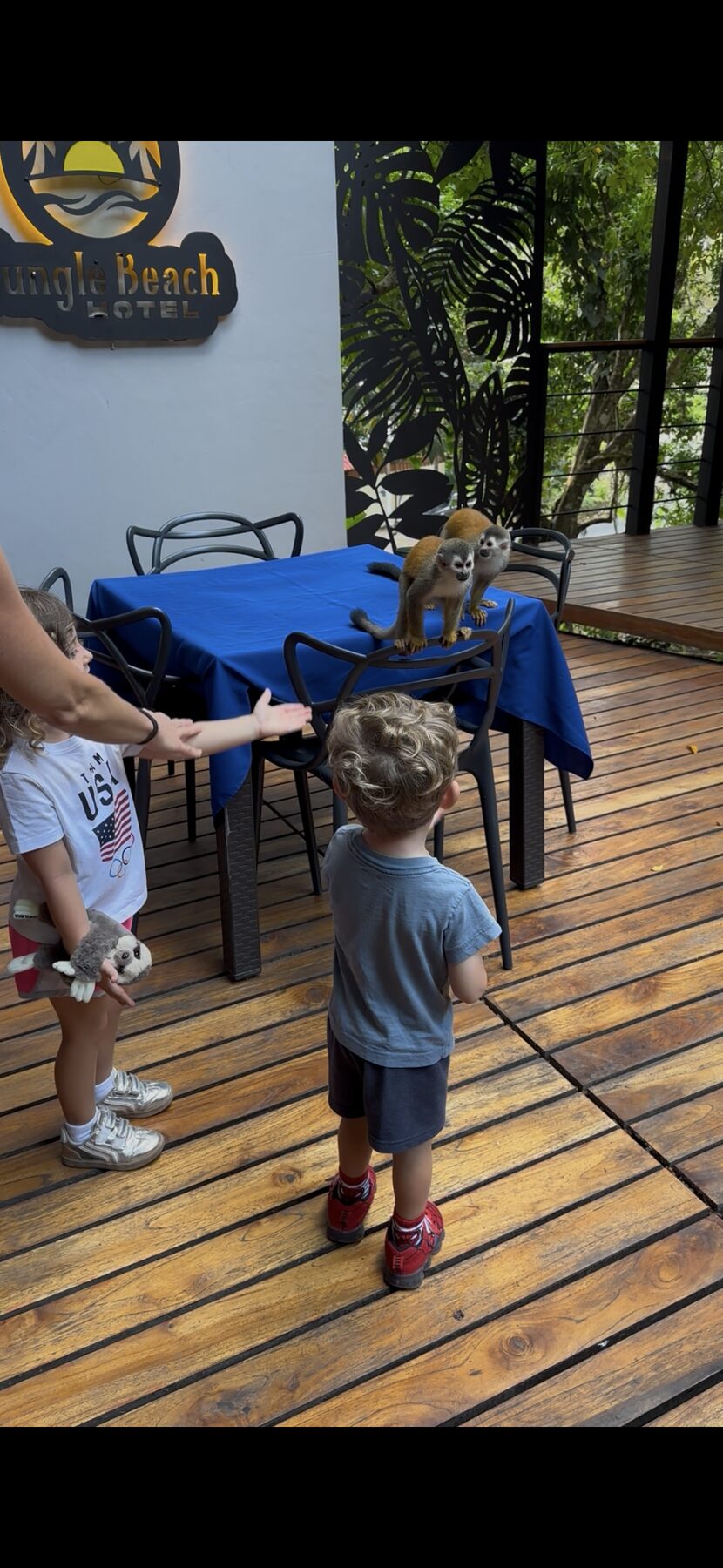 Squirrel monkeys visiting at Jungle Beach Hotel — Manuel Antonio, Costa Rica